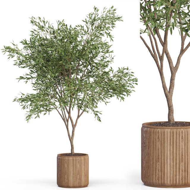 Plants collection 625 3D मॉडल .c4d .max .obj .3ds .fbx .stl .blend