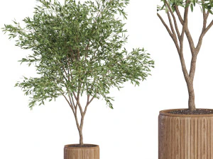 Koleksi tanaman 625 Model 3D