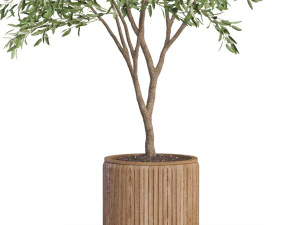 Plants collection 625 3D Model