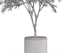 Plants collection 625 3D मॉडल