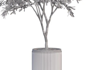 Plants collection 625 3D Model