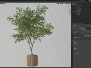 Plants collection 625 3D Model