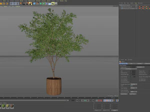 Plants collection 625 3D Model