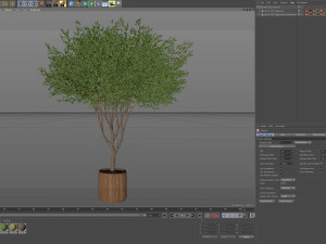 Plants collection 626 3D Model