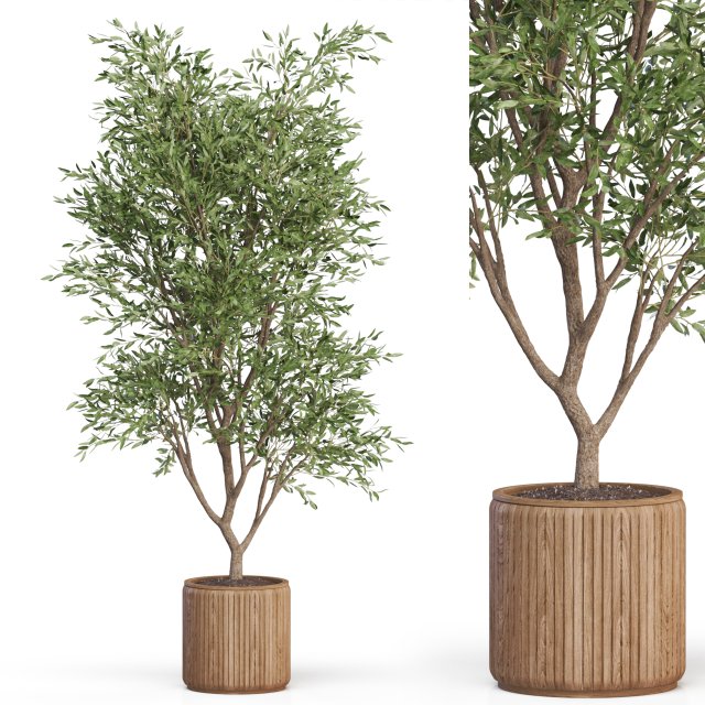 Plants collection 627 3D Model .c4d .max .obj .3ds .fbx .stl .blend 