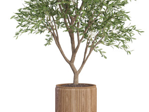 Plants collection 627 3D Model