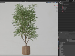 Plants collection 627 3D Model