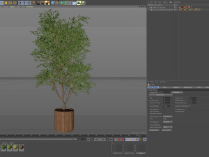 Plants collection 627 3D Model