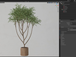 Plants collection 628 Model 3D