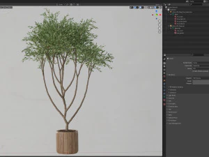 Plants collection 628 3D Model