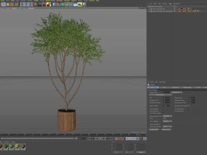 Plants collection 628 3D Model