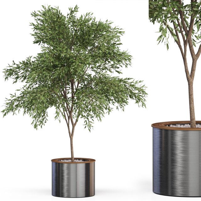 Plants collection 629 3D Model .c4d .max .obj .3ds .fbx .stl .blend