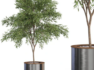 Colecci&oacute;n de plantas 629 Modelo 3D