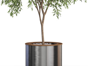Plants collection 629 3D Model