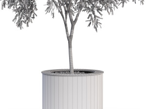Plants collection 629 3D Model