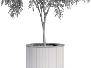 Plants collection 629 3D Model
