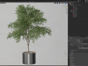 Plants collection 629 3D Model
