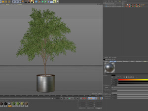 Plants collection 629 3D Model