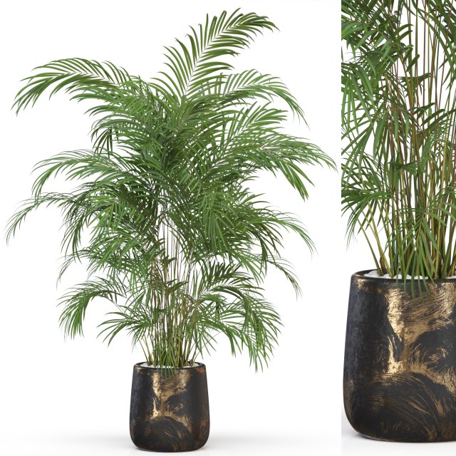 Plants collection 630 3D Model .c4d .max .obj .3ds .fbx .stl .blend 