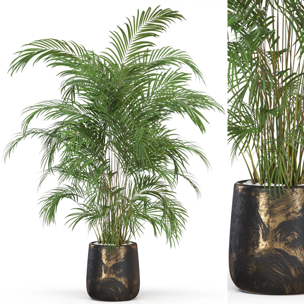 Plants collection 630 3D Model .c4d .max .obj .3ds .fbx .stl .blend 