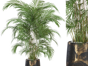 Plants collection 630 Model 3D