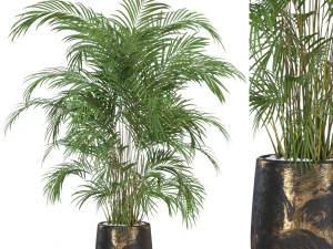 Collezione piante 630 Modello 3D