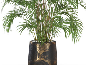 Plants collection 630 3D Model