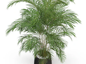 Plants collection 630 3D Model