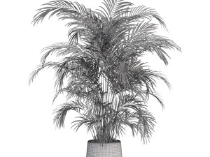 Plants collection 630 3D Model