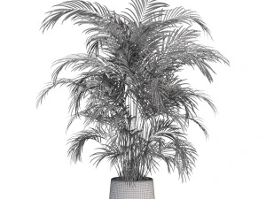 Plants collection 630 3D Model