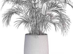 Plants collection 630 3D Model