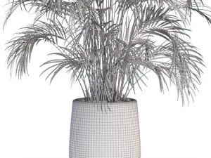 Plants collection 630 3D Model