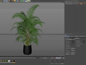 Plants collection 630 3D Model