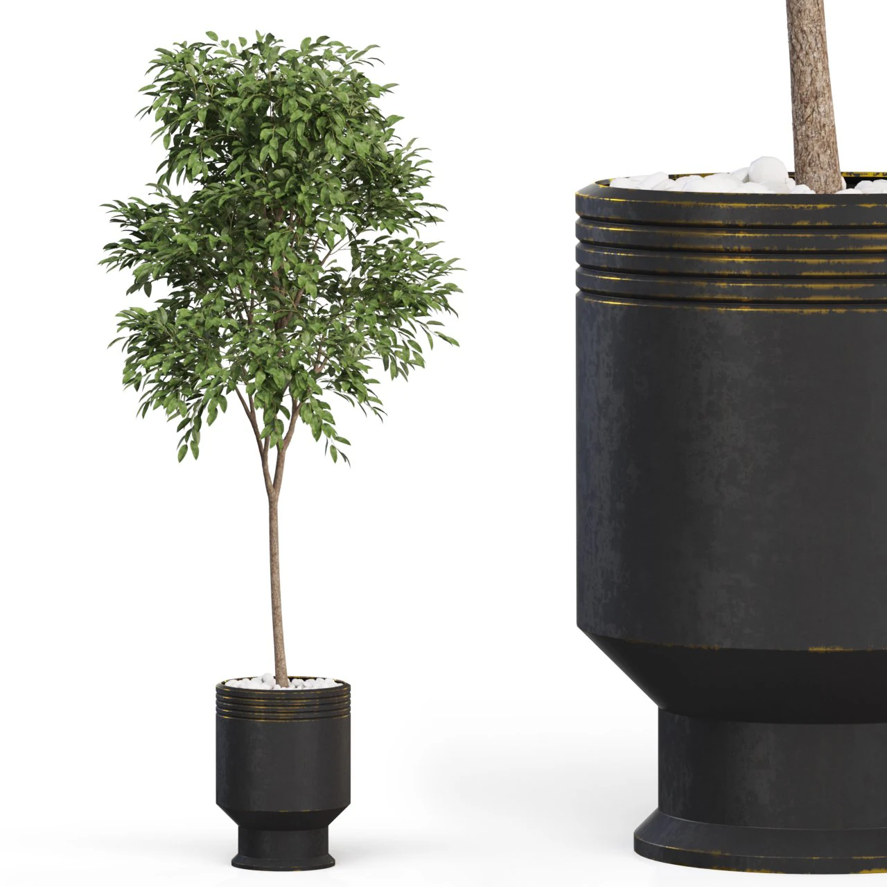 Plants collection 631 3D Model .c4d .max .obj .3ds .fbx .stl .blend