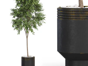 Koleksi tanaman 631 Model 3D