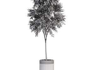 Plants collection 631 Modelo 3D