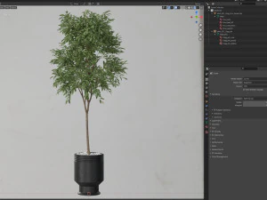 Plants collection 631 3D Model