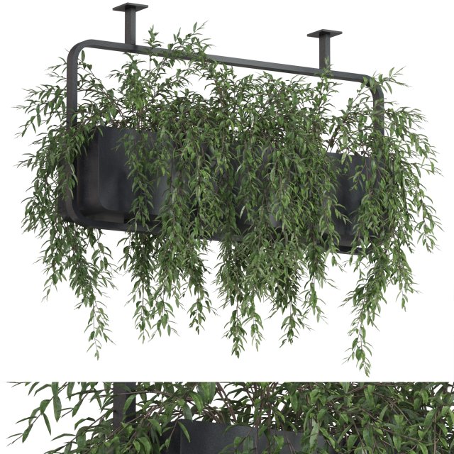 Plants collection 632 Modelo 3D .c4d .max .obj .3ds .fbx .stl .blend 
