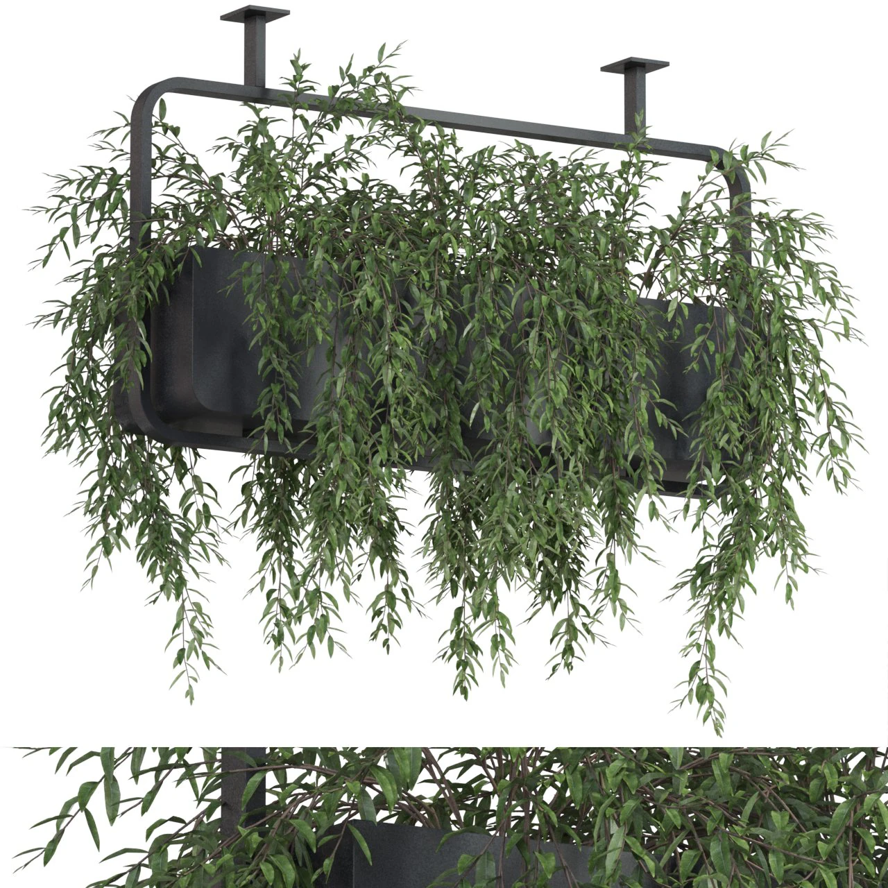 Plants collection 632 3D Model .c4d .max .obj .3ds .fbx .stl .blend