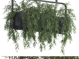 Kolekcja roślin 632 Model 3D