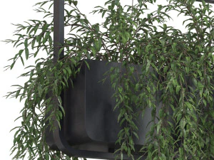 Plants collection 632 3D Model