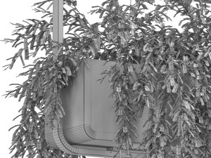 Plants collection 632 Modelo 3D
