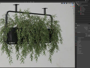 Plants collection 632 3D Model