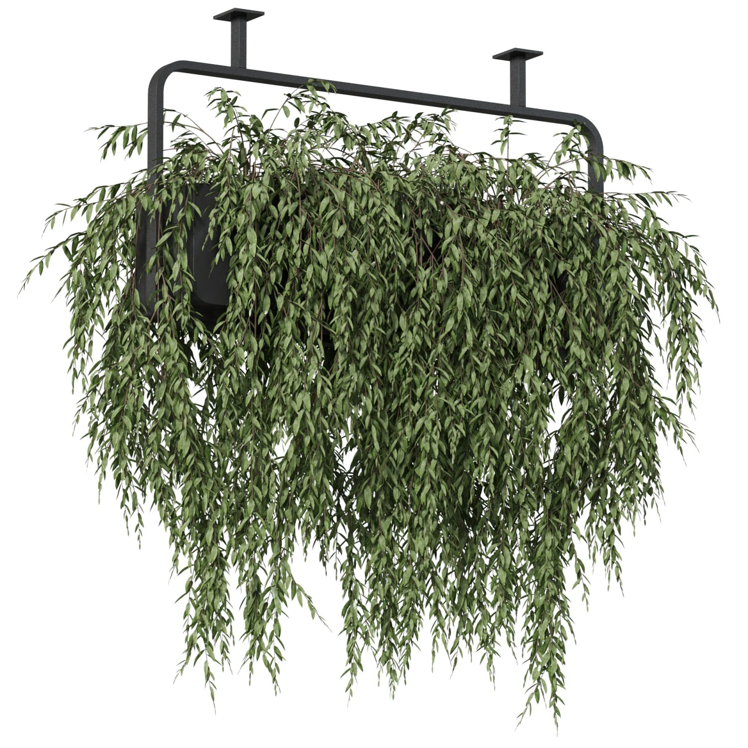 Plants collection 633 3D Model .c4d .max .obj .3ds .fbx .stl .blend 