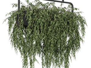 पौधों का संग्रह 633 3D मॉडल