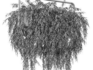 Plants collection 633 3D मॉडल