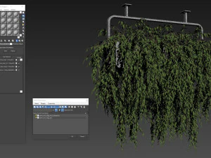 Plants collection 633 3D Model
