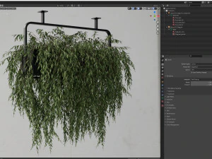 Plants collection 633 3D Model