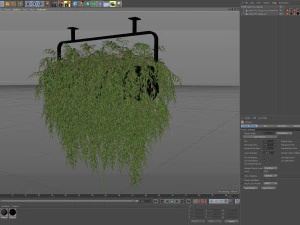 Plants collection 633 3D Model