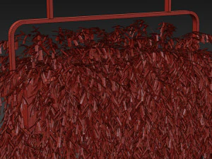 Plants collection 633 3D Model